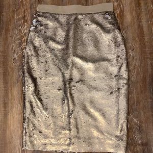 Banana Republic Sequin Skirt